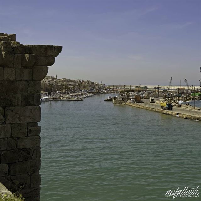 Sidon in the Bible:It was the first home of the Phoenicians on the coast...