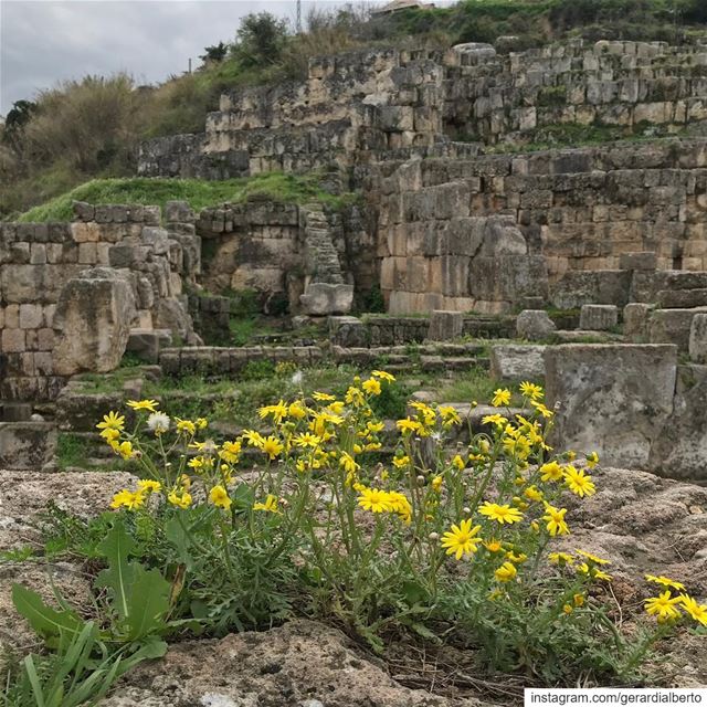  sidon  southerngovernorate  صيدا  lebanon  archaeology  phoenicians ... (Tempio di Eshmun)