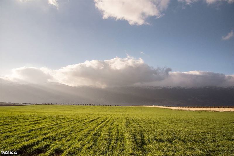 Silence ! In a valley of green.  bekaa  lebanon  beirut  livelovebekaa ... (Al-Mansoura - West Bekaa)