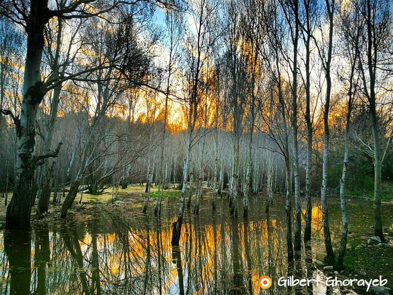 Silence is a source of great strength. reflection  water  mirror  sunset ...