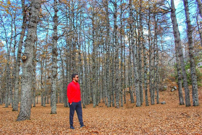 🌳SILENCE IS SO FREAKING LOUD🍂  Lebanon liveloveakkar Livelovenorth... (Al Fnaydiq, Liban-Nord, Lebanon)