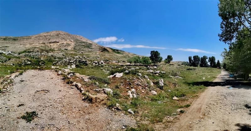 Silence isn't empty, it's full of answers... 🌾..... tworoads ... (Qanat Bakish, Mont-Liban, Lebanon)