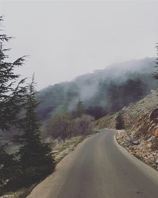 Silent hills and green......... fujixpro2  fujifilm  ... (Al Shouf Cedar Nature Reserve)