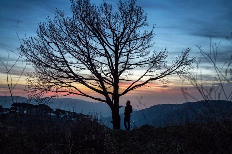 Silhouettes ..... nature  colors  surreal  landscape  mountains ...