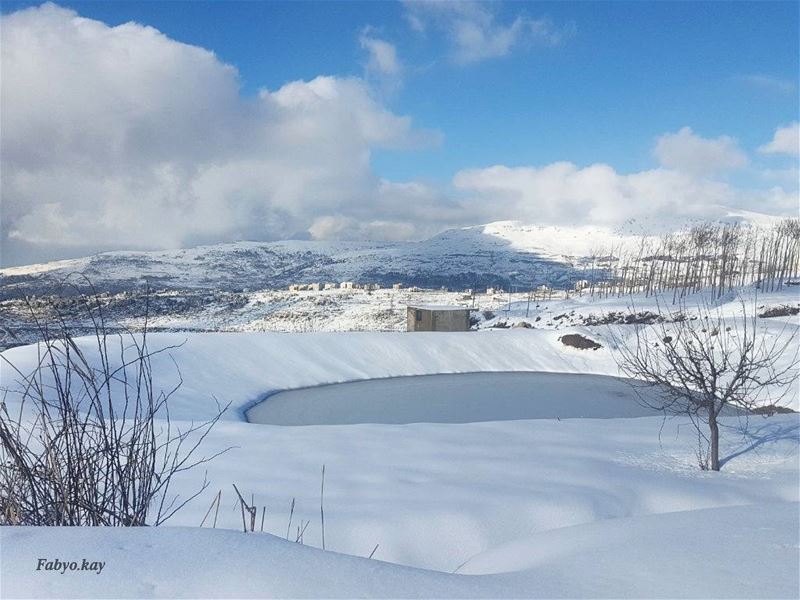 Silience has a mysterious calming affect, allowing your soul to be a peace... (Mount Lebanon Governorate)