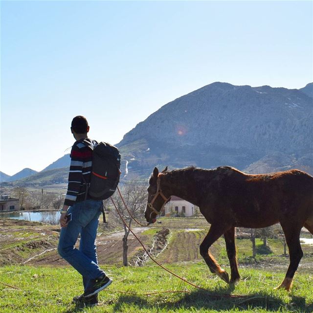 Simple Life 🐎