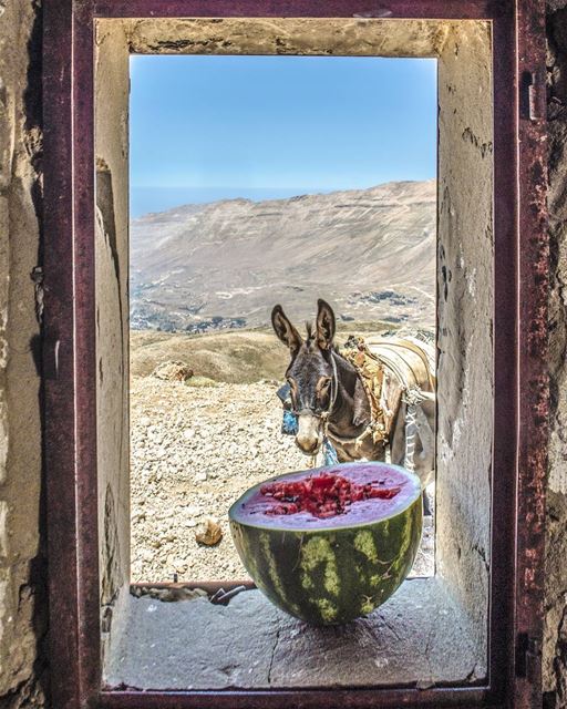 Simplicity ♥️................. Lebanon  livlovelebanon ... (Lebanon)