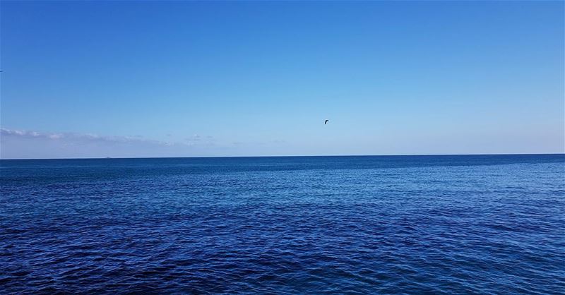 Simply blue💙  natgeoyourshot natgeolebanon beirut livelovebeirut ... (Beirut, Lebanon)