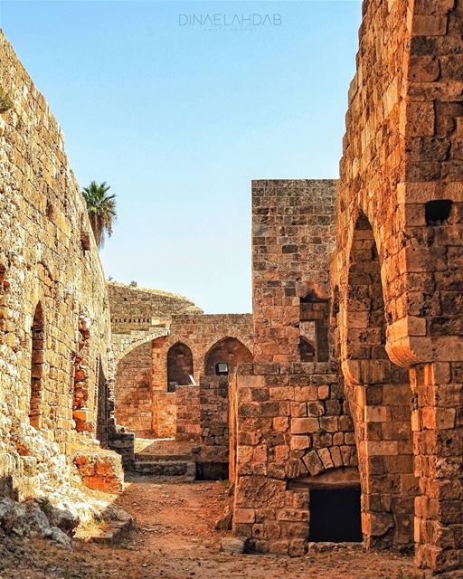 🏰 Since year 1103 AD______________ 961lens  tripoli_lb  tripolilebanon ... (Tripoli Citadelle)