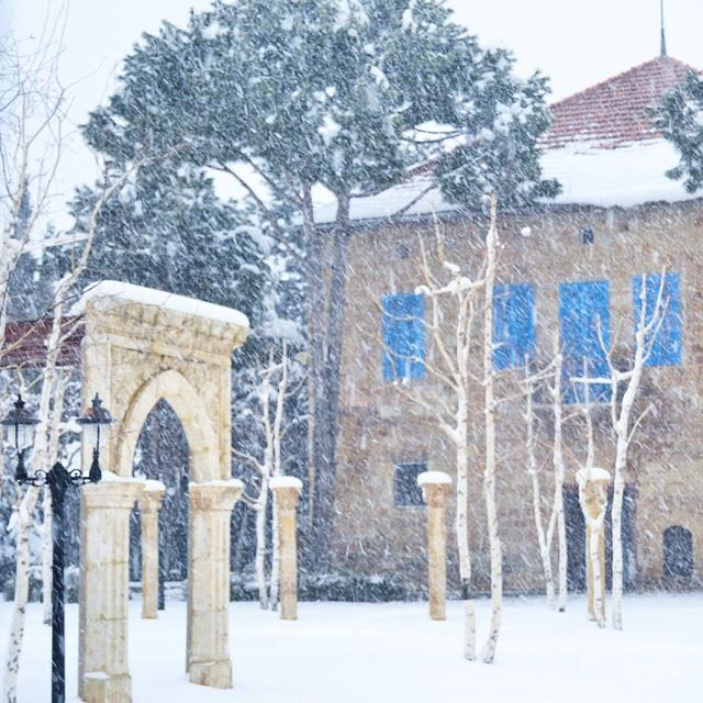  sir  Lebanon  north  snow ❄❄❄❄❄❄❄❄ Rachid❄❄❄أنفاسنا في الأفق حائرة..تفتش (سير الضنية)