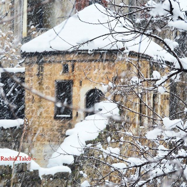  sir  snow  north  Lebanon 🌟🌟🌟🌟🌟RACHID🌟🌟🌟🌟🌟🌟كم منزل في الارض يأ (Syr El Daniyah)