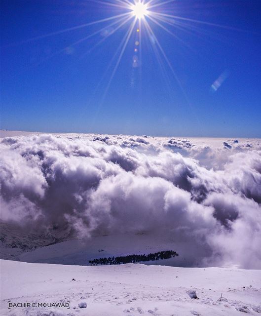  ski  skiing  sunnyday  beautifulsky  bluesky  clouds  ceders  bakish ...