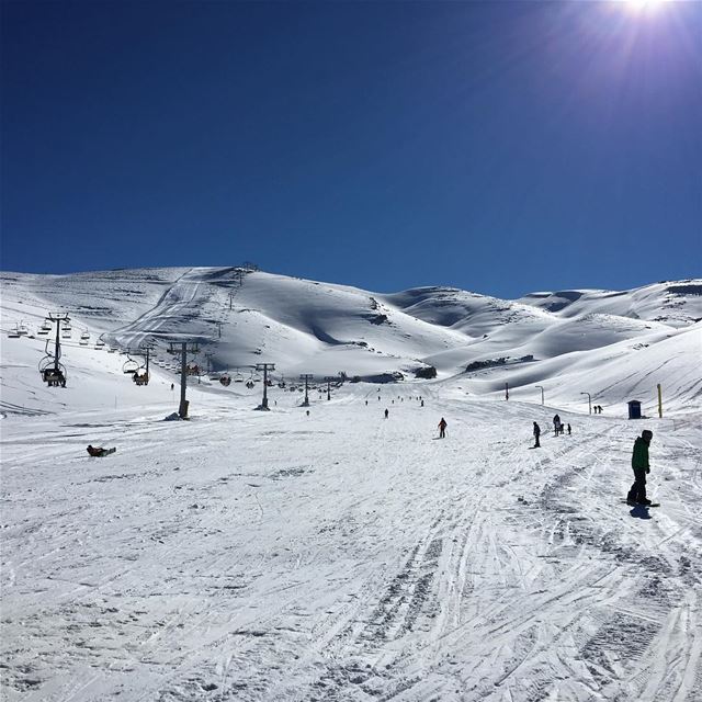  ski  slopes  snowboard  burton  lebanon  mzar  flow @farayalovers (Warde Mzaar)