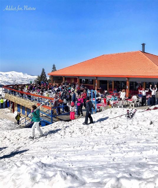  skiing  teleski  cedars  lebanon  mountains  snow  sunnyday  nature ... (Cedars Ski Slopes)