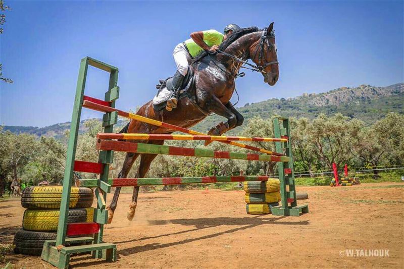 Sky is the limit...  horse  horses  horsesofinstagram  horsebackriding ... (Al Adham)