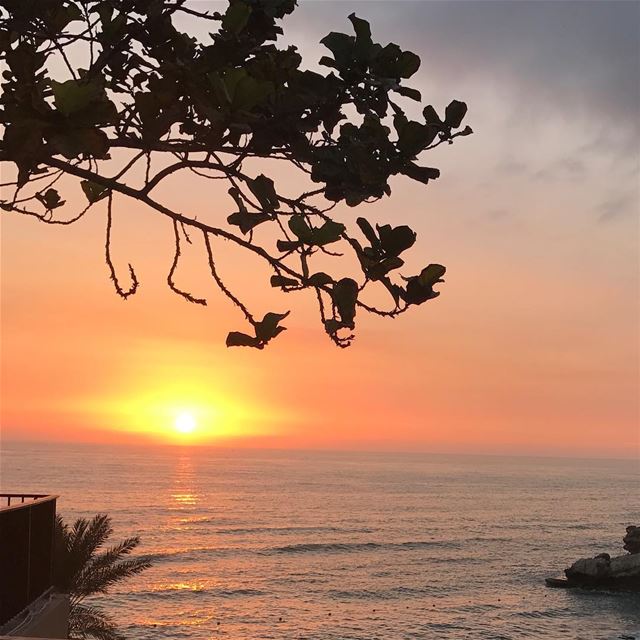  sky  sunrise  sunset  horizon  nature  nice  weather  sea  clouds ...