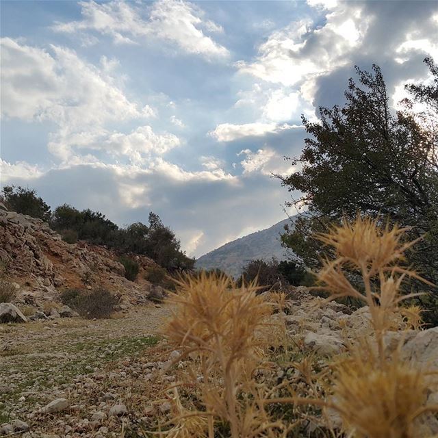  skylineextremesports  hiking  bekaa  chouf  barouk  ammiq  hikingtrails ...