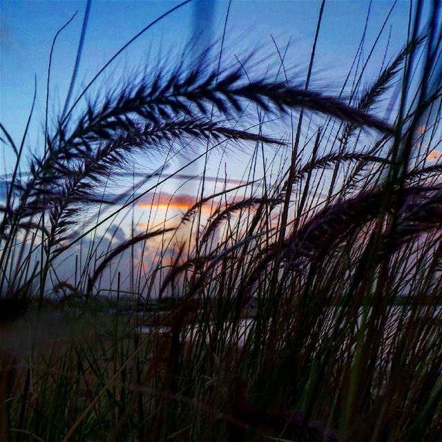  skysun_friends  bns_nature  bns_silhouette  nikontop_  nikonworld ...