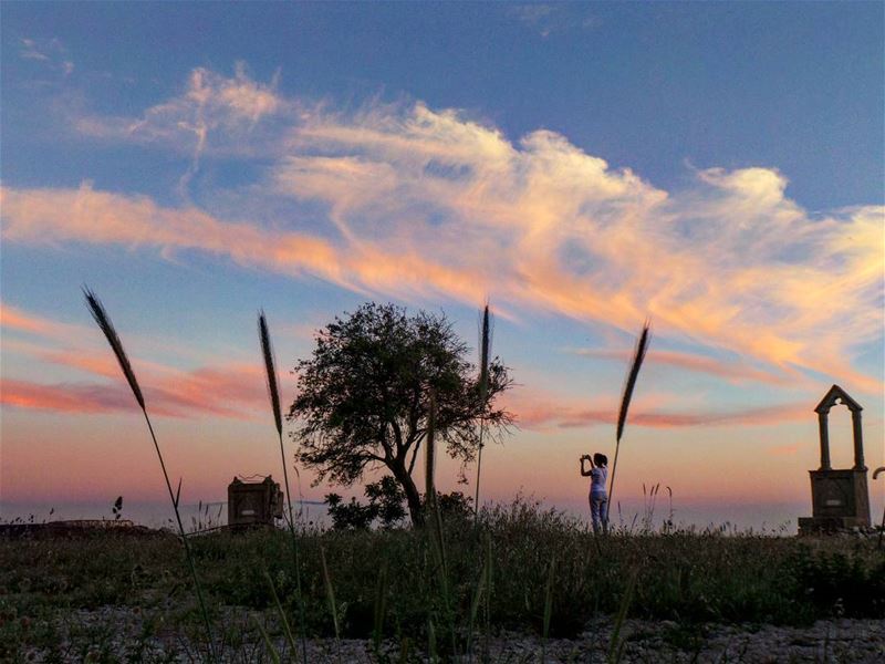  skysun_friends  bns_nature  bns_silhouette  nikontop_  nikonworld ... (Dayr Al Qamar, Mont-Liban, Lebanon)
