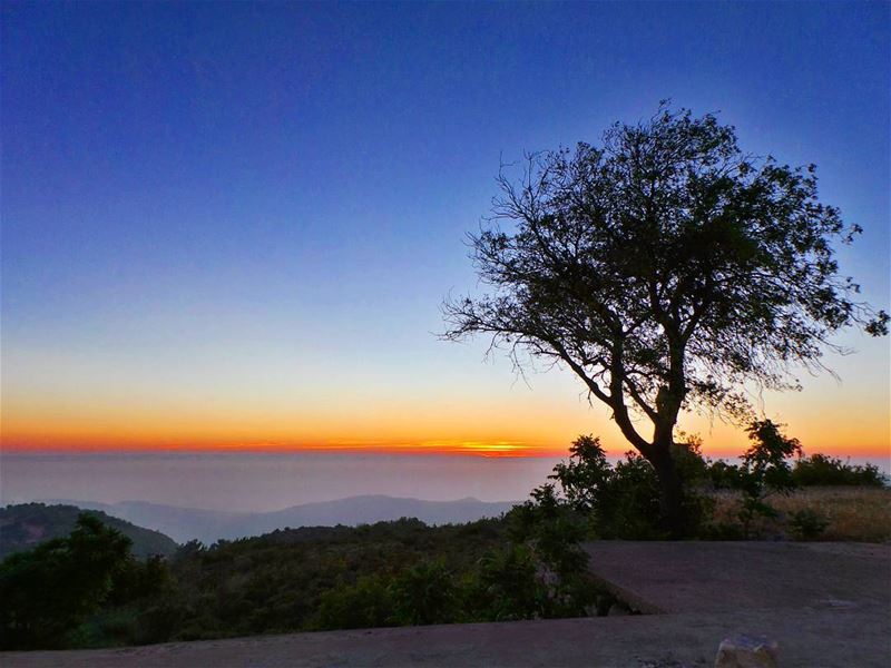  skysun_friends  bns_nature  bns_silhouette  nikontop_  nikonworld ... (Dayr Al Qamar, Mont-Liban, Lebanon)