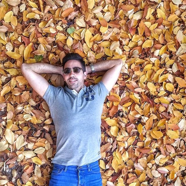 Sleeping on a leafy bed 🍂🌺🍁🍂🍁🌺🍂🌺🍁🌺🌺🍁🍂🍂🍁🍁🌺  livelovebeirut... (Chouf)