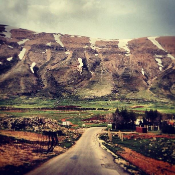 Slope  beautifullebanon  cedars  lebanon  landscapes  roads  nature ...