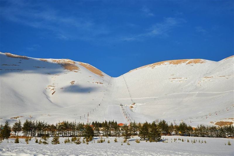 Slopes and mountains☀☀ (Cedars of God)
