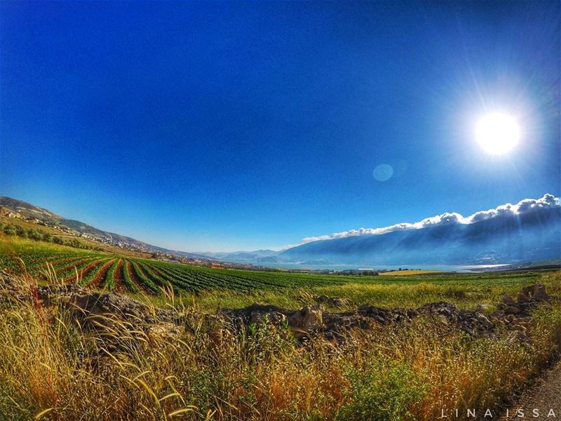 Small steps every day will get us to where we need to... (Baaloûl, Béqaa, Lebanon)
