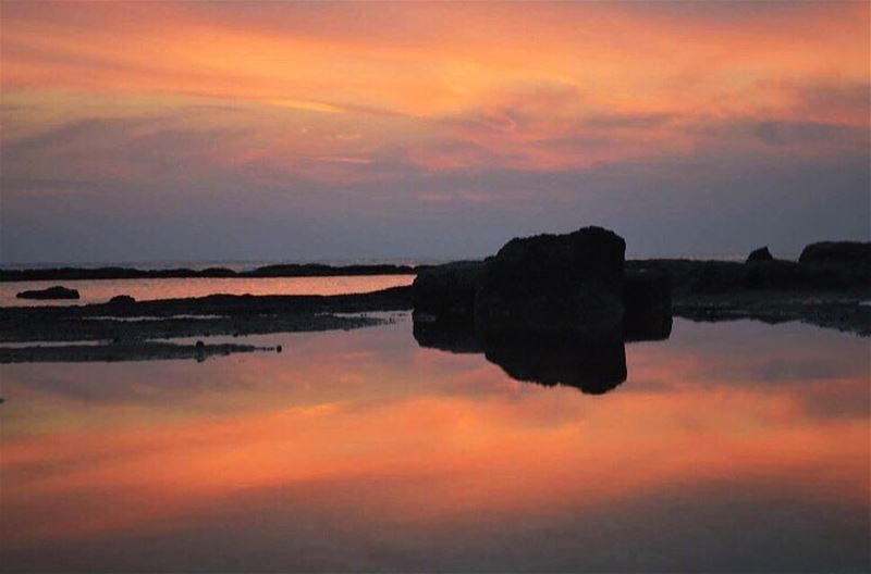 smell the sea and feel the sky let your soul and spirit fly...... (Soûr, Al Janub, Lebanon)