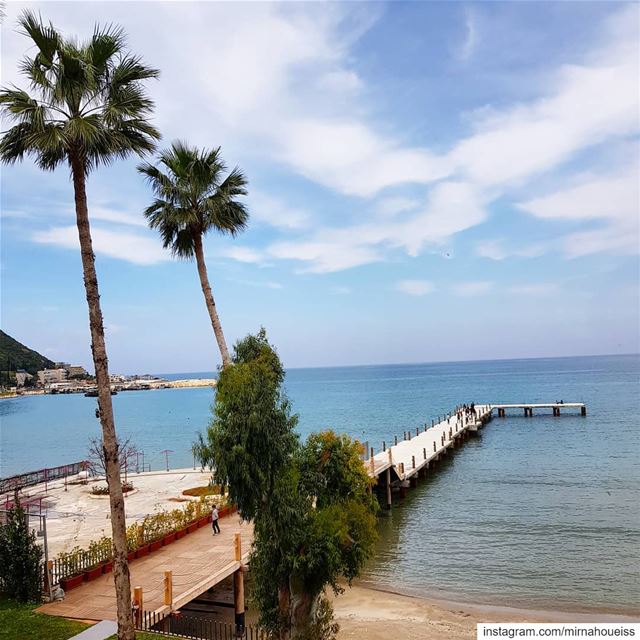 Smell the sea and feel the sky let your soul and spirit FLY 🏖🌴  seaview ... (Lebanon)