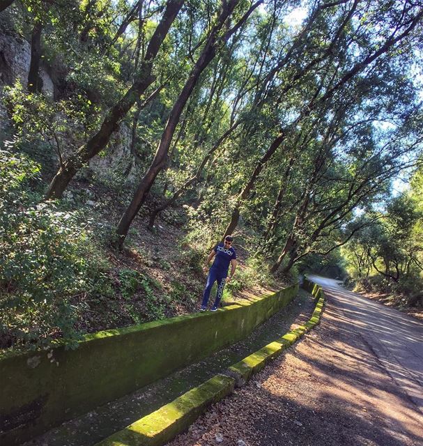 Smelling the wild air by taking a walk in the forest 🌳  igworldclub ... (Saydet El Nourieh)