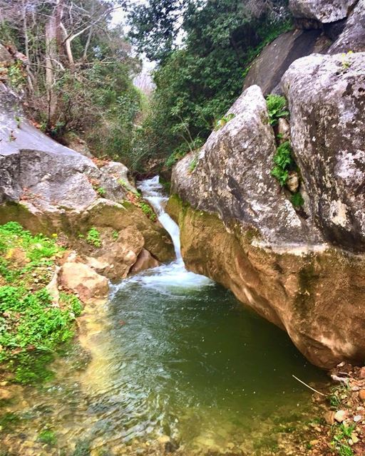 Smells like  spring kobayat  akkar  waterspring  livelovelebanon ... (Al Qubayyat, Liban-Nord, Lebanon)