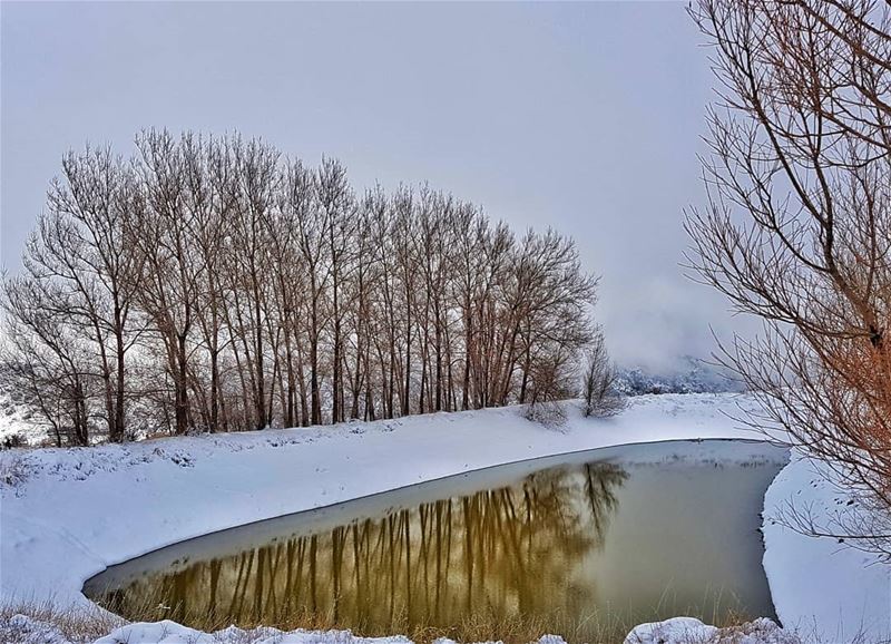 SN❄W·······  laklouk  whatsuplebanon  lebanese  lebanonshots ...