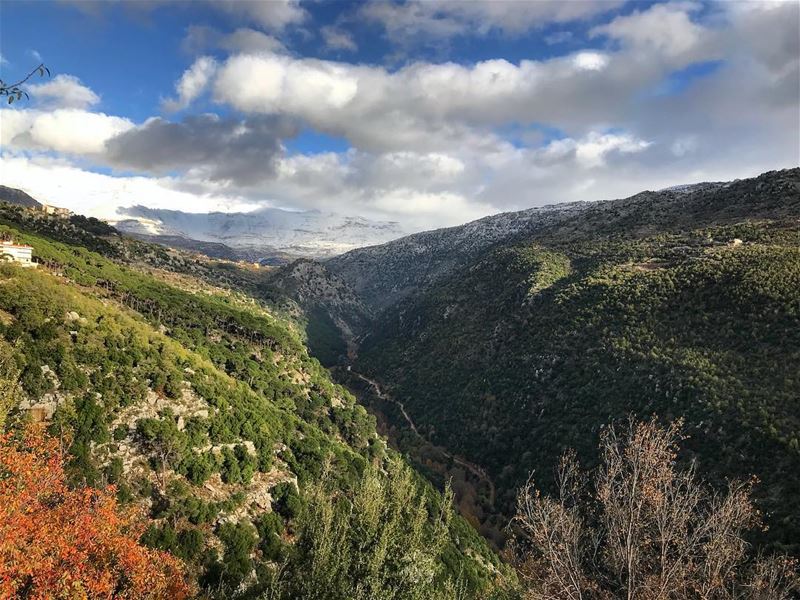 Snow - autumn mix ❄️🍁 (Baskinta, Lebanon)