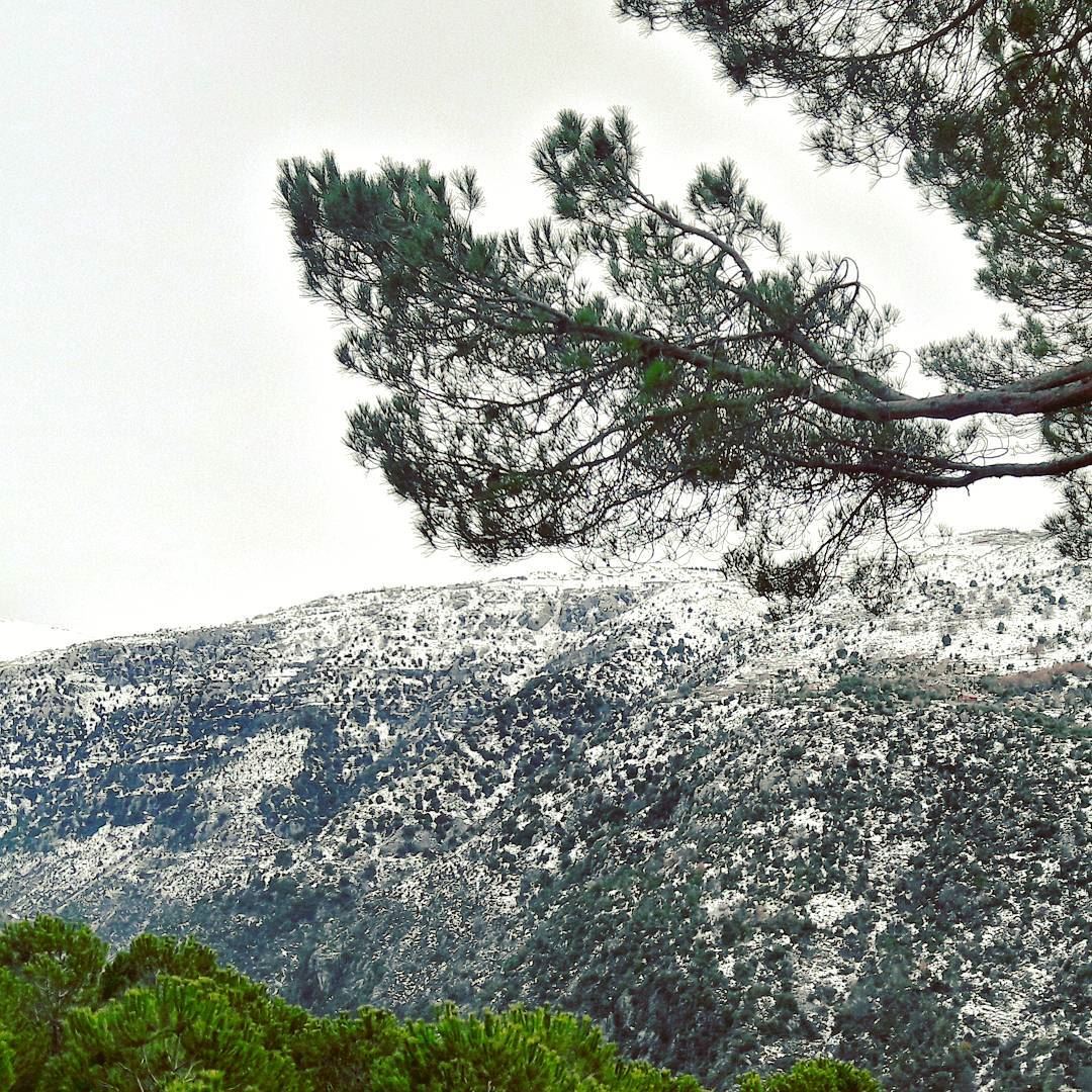 Snow beautifies everything it covers ❄❄❄  Baskinta  Lebanon  Lebanese  ... (Baskinta, Lebanon)