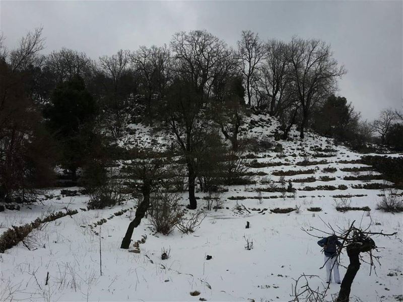  Snow  Hiking Jabal Mousa (New Trail)This Sunday 5 February will have the...