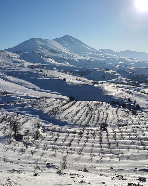  snow  ice  frozen  mountains  insta_lebanon  lebanon_hdr  wonderful ... (Tarshish)