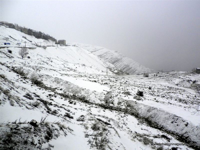 Snow in Faraya February 2011