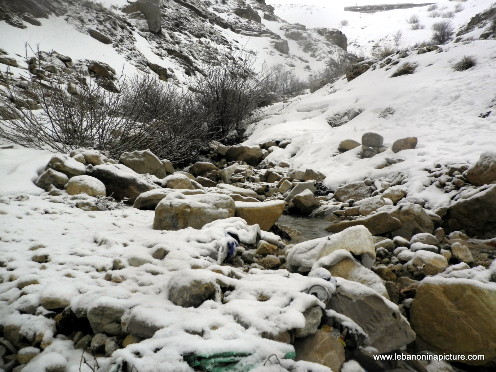 Snow in Faraya February 2011