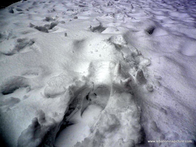 Snow in Faraya February 2011