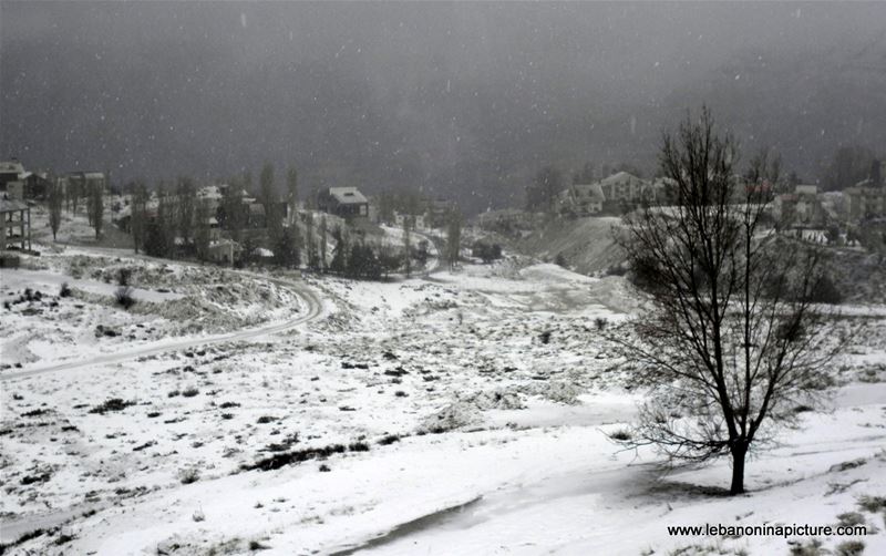 Snow in Faraya February 2011