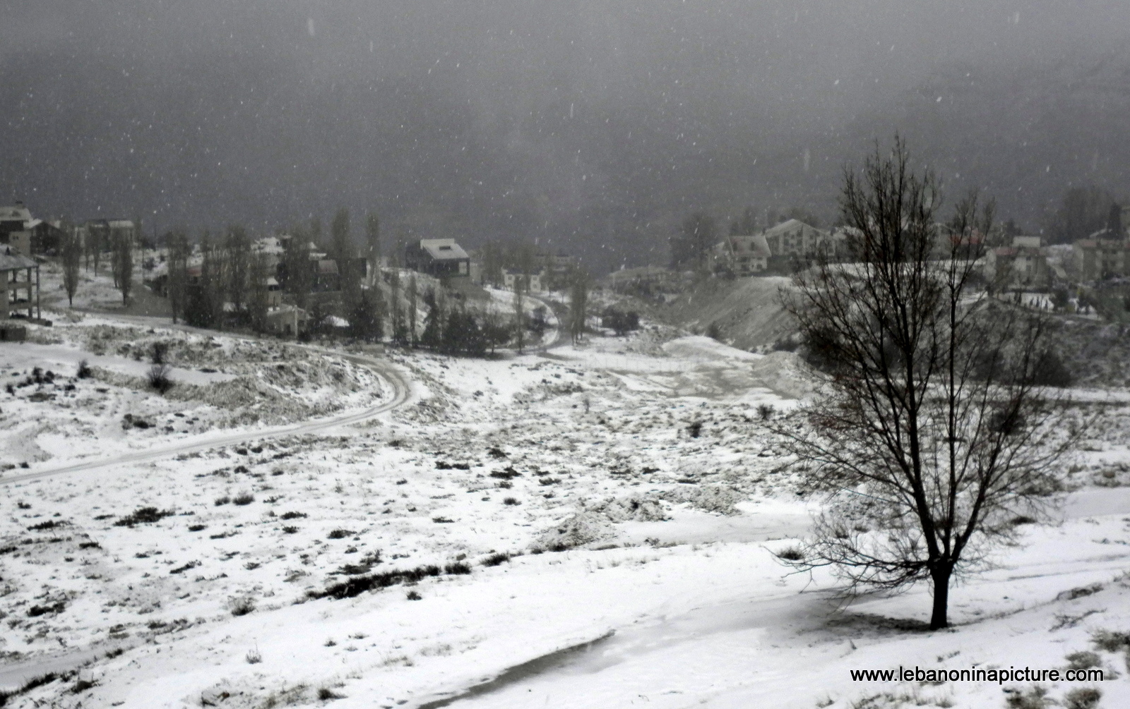 Snow in Faraya February 2011