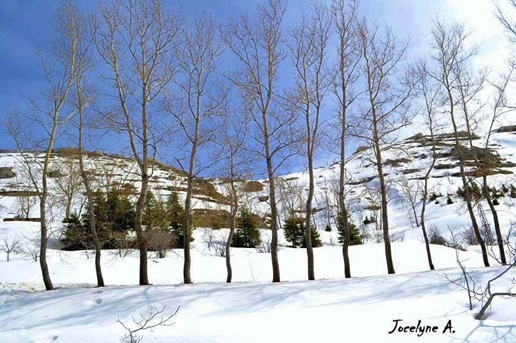 " Snow is an attempt of GOD to make the dirty world look clean " ... (Laklouk - Lebanon)