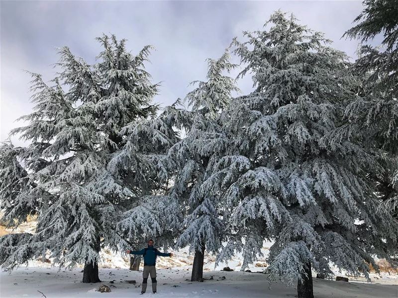 Snow is finally here ❄️❄️ (Faqra)