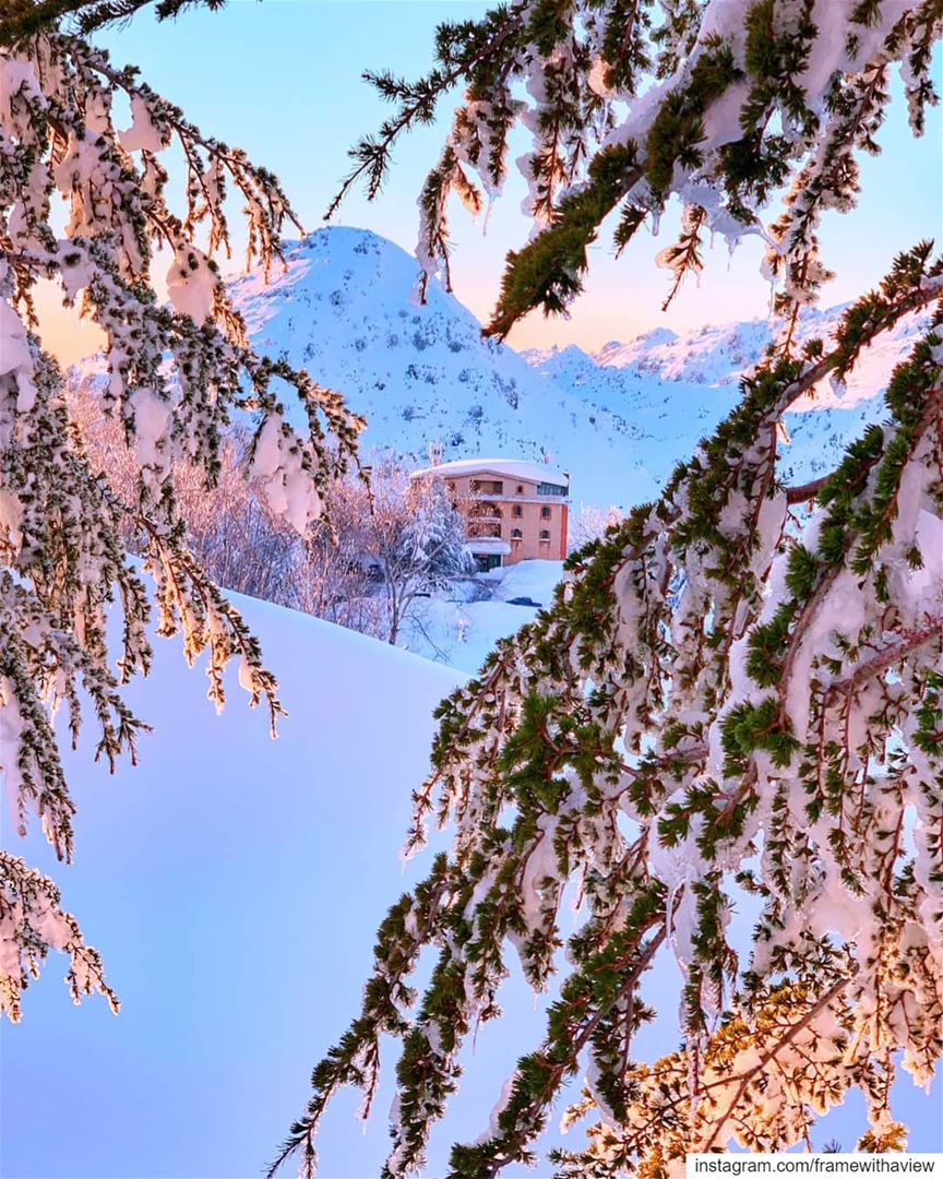 Snow just makes everything better... Wouldn't you agree? 🌨 💘🌨️.... ... (Laklouk Village Vacances)