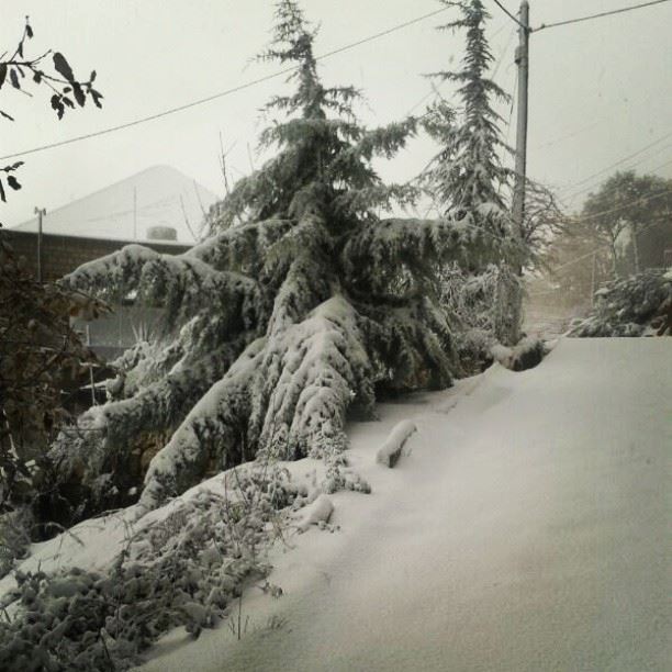  snow  Lebanon  myhome  home  me  instagood  weather  relax  tagforlife ...