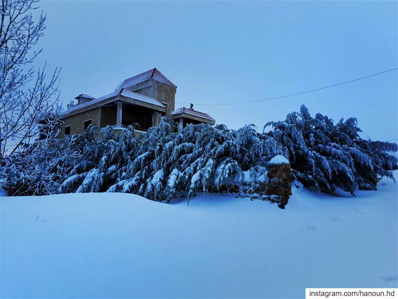  snow  lebanon  tarchich  tarshish  livelovetarchich  livelovelebanon  ❄️ (Tarchich)