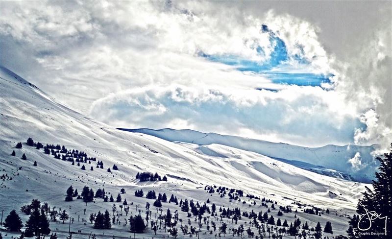  snow  monsieurleblanc  clouds  sky  mountains  ski  cedars  trees  winter... (Cedars of God)
