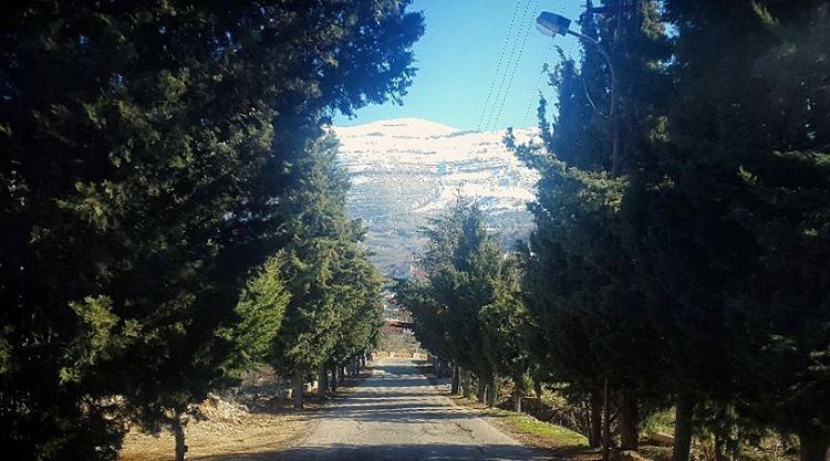  snow  mountains  road  trees  roamtheplanet  blue  sky  green ... (Ehden, Lebanon)