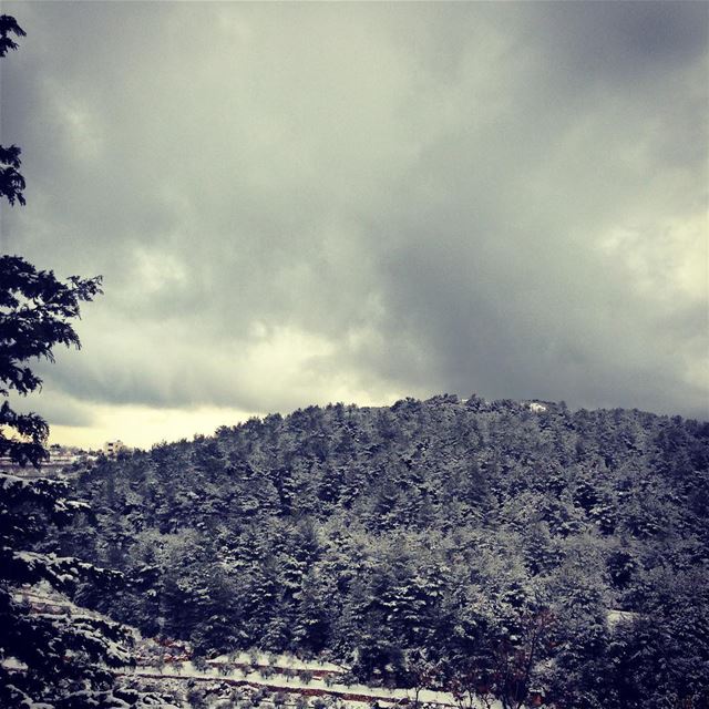  snow  niha  lebanon  mountain  winter  20likes  40weeks  40likes ... (Niha Mountain)